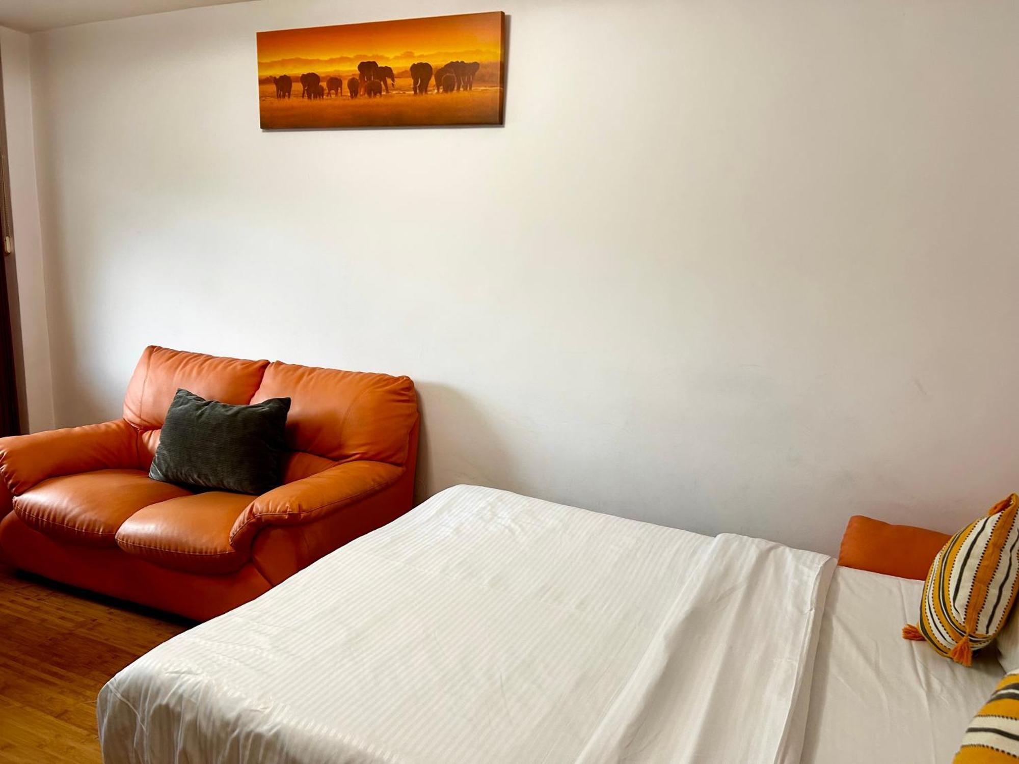 Jad - Familiy 4 Rooms Apartment - Near Forest And Historic Center - Racadau Braşov Eksteriør bilde