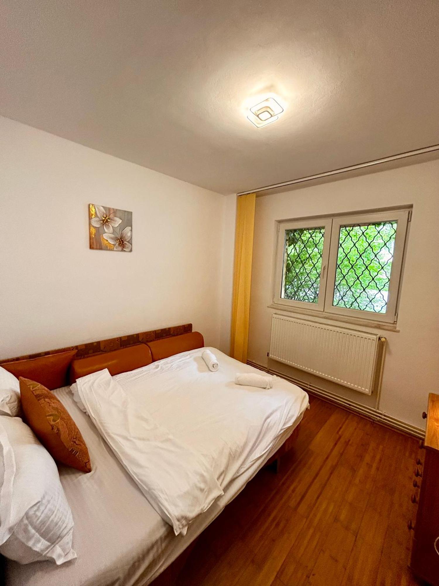 Jad - Familiy 4 Rooms Apartment - Near Forest And Historic Center - Racadau Braşov Eksteriør bilde